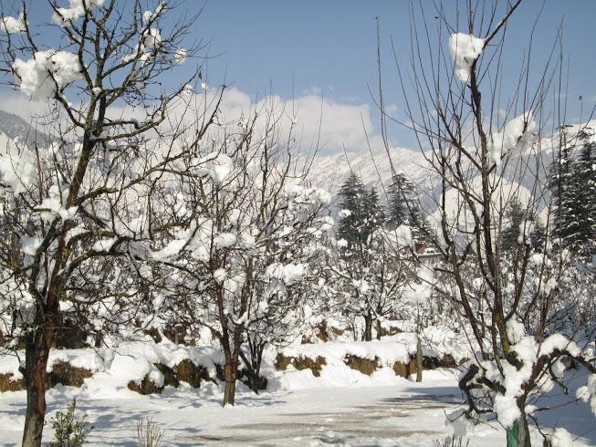 Treebo Trend Celebriti Manali Hotel Vashist Exterior photo